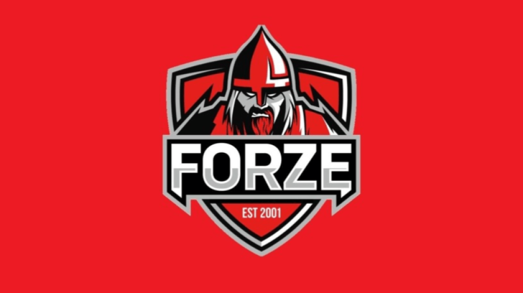 ForZe — чемпионы CCT Central Europe Series 2