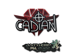 cadiaN | Антверпен 2022 -  CS:GO/CS 2