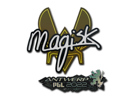 Magisk | Антверпен 2022 -  CS:GO/CS 2