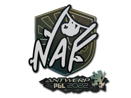 NAF | Антверпен 2022 -  CS:GO/CS 2