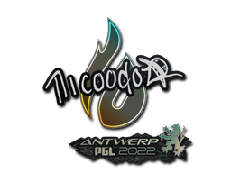 nicoodoz | Антверпен 2022 -  CS:GO/CS 2