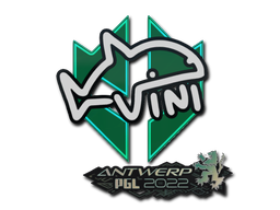 VINI | Антверпен 2022 -  CS:GO/CS 2