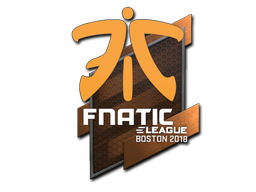 Fnatic | Бостон 2018 -  CS:GO/CS 2