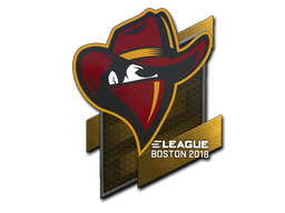 Renegades | Бостон 2018 -  CS:GO/CS 2