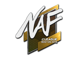 NAF | Бостон 2018 -  CS:GO/CS 2