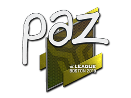 paz | Бостон 2018 -  CS:GO/CS 2