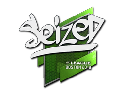 seized | Бостон 2018 -  CS:GO/CS 2