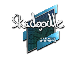 Skadoodle | Бостон 2018