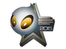 Team Dignitas | Клуж-Напока 2015 -  CS:GO/CS 2