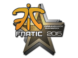 Fnatic | Клуж-Напока 2015