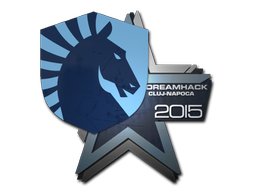 Team Liquid | Клуж-Напока 2015 -  CS:GO/CS 2