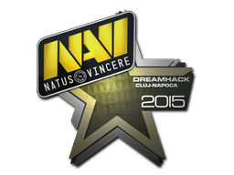 Natus Vincere | Клуж-Напока 2015