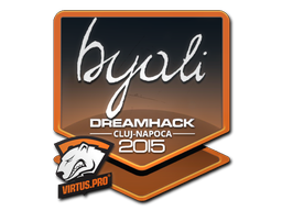 byali | Клуж-Напока 2015 -  CS:GO/CS 2