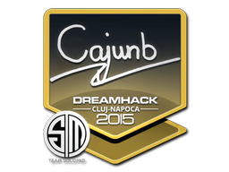 cajunb | Клуж-Напока 2015 -  CS:GO/CS 2