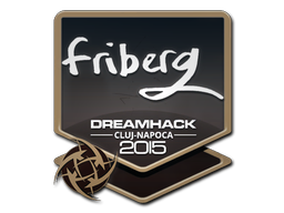 friberg | Клуж-Напока 2015 -  CS:GO/CS 2