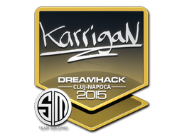 karrigan | Клуж-Напока 2015 -  CS:GO/CS 2