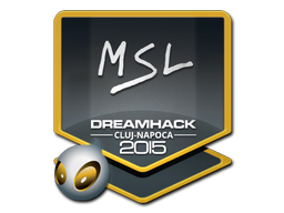 MSL | Клуж-Напока 2015 -  CS:GO/CS 2