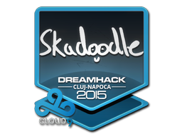 Skadoodle | Клуж-Напока 2015 -  CS:GO/CS 2