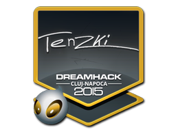 tenzki | Клуж-Напока 2015 -  CS:GO/CS 2