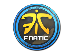 Fnatic | Кёльн 2014 -  CS:GO/CS 2