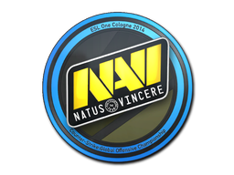 Natus Vincere | Кёльн 2014