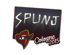 SPUNJ | Кёльн 2015 -  CS:GO/CS 2