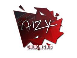 aizy | Кёльн 2016 -  CS:GO/CS 2