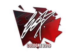 fox | Кёльн 2016 -  CS:GO/CS 2