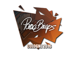 pashaBiceps | Кёльн 2016 -  CS:GO/CS 2