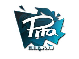 pita | Кёльн 2016 -  CS:GO/CS 2