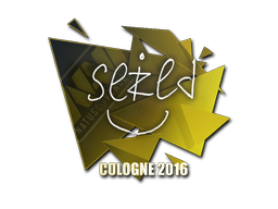 seized | Кёльн 2016 -  CS:GO/CS 2