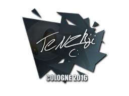 TENZKI | Кёльн 2016 -  CS:GO/CS 2