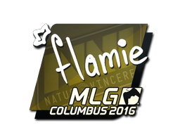 flamie | Колумбус 2016 -  CS:GO/CS 2