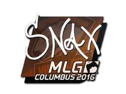 Snax | Колумбус 2016 -  CS:GO/CS 2