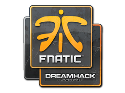 Fnatic | DreamHack 2014 -  CS:GO/CS 2