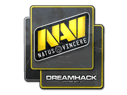 Natus Vincere | DreamHack 2014 -  CS:GO/CS 2