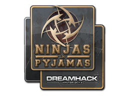 Ninjas in Pyjamas | DreamHack 2014 -  CS:GO/CS 2