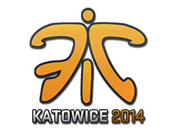 Fnatic | Катовице 2014 -  CS:GO/CS 2