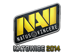 Natus Vincere | Катовице 2014