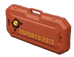 Кейс eSports 2013