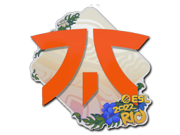 Fnatic | Rio 2022