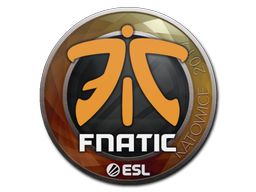 Fnatic | Катовице 2019 -  CS:GO/CS 2