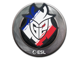 G2 Esports | Катовице 2019 -  CS:GO/CS 2