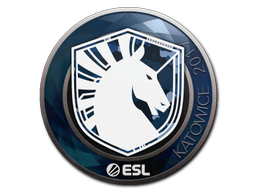 Team Liquid | Катовице 2019 -  CS:GO/CS 2