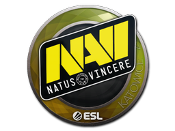 Natus Vincere | Катовице 2019