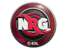 NRG | Катовице 2019 -  CS:GO/CS 2