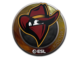 Renegades | Катовице 2019