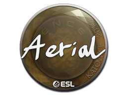 Aerial | Катовице 2019 -  CS:GO/CS 2