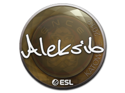 Aleksib | Катовице 2019 -  CS:GO/CS 2