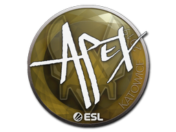 apEX | Катовице 2019 -  CS:GO/CS 2